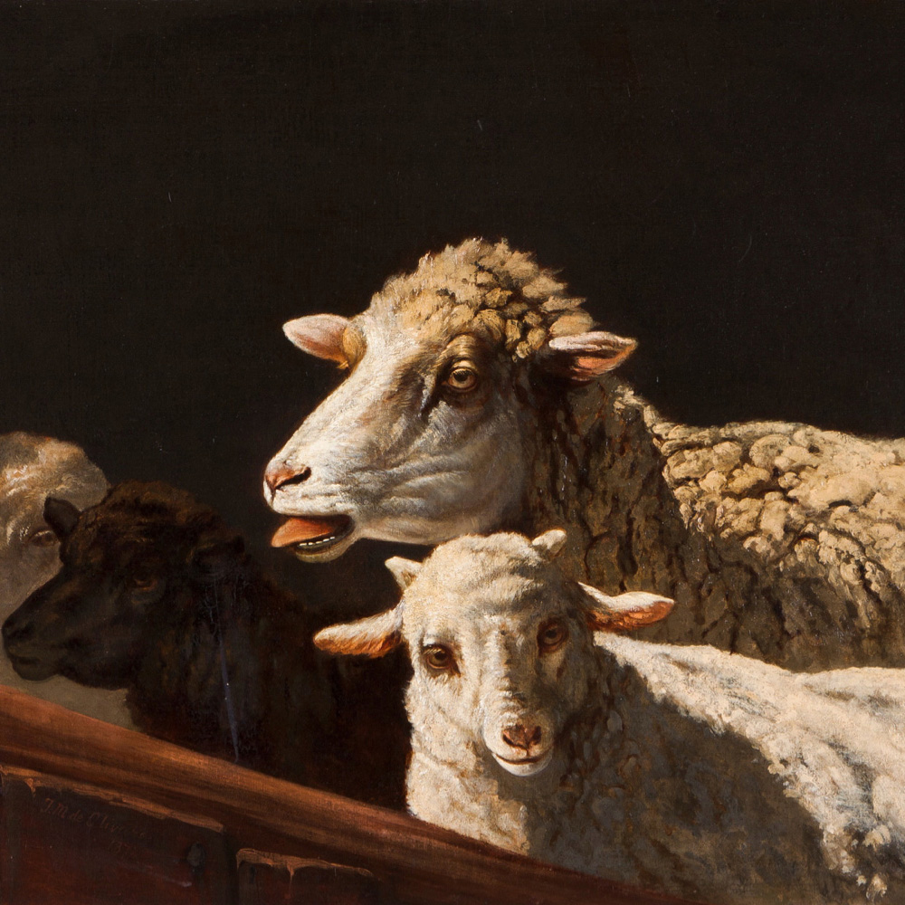 Глава 3: Стадо